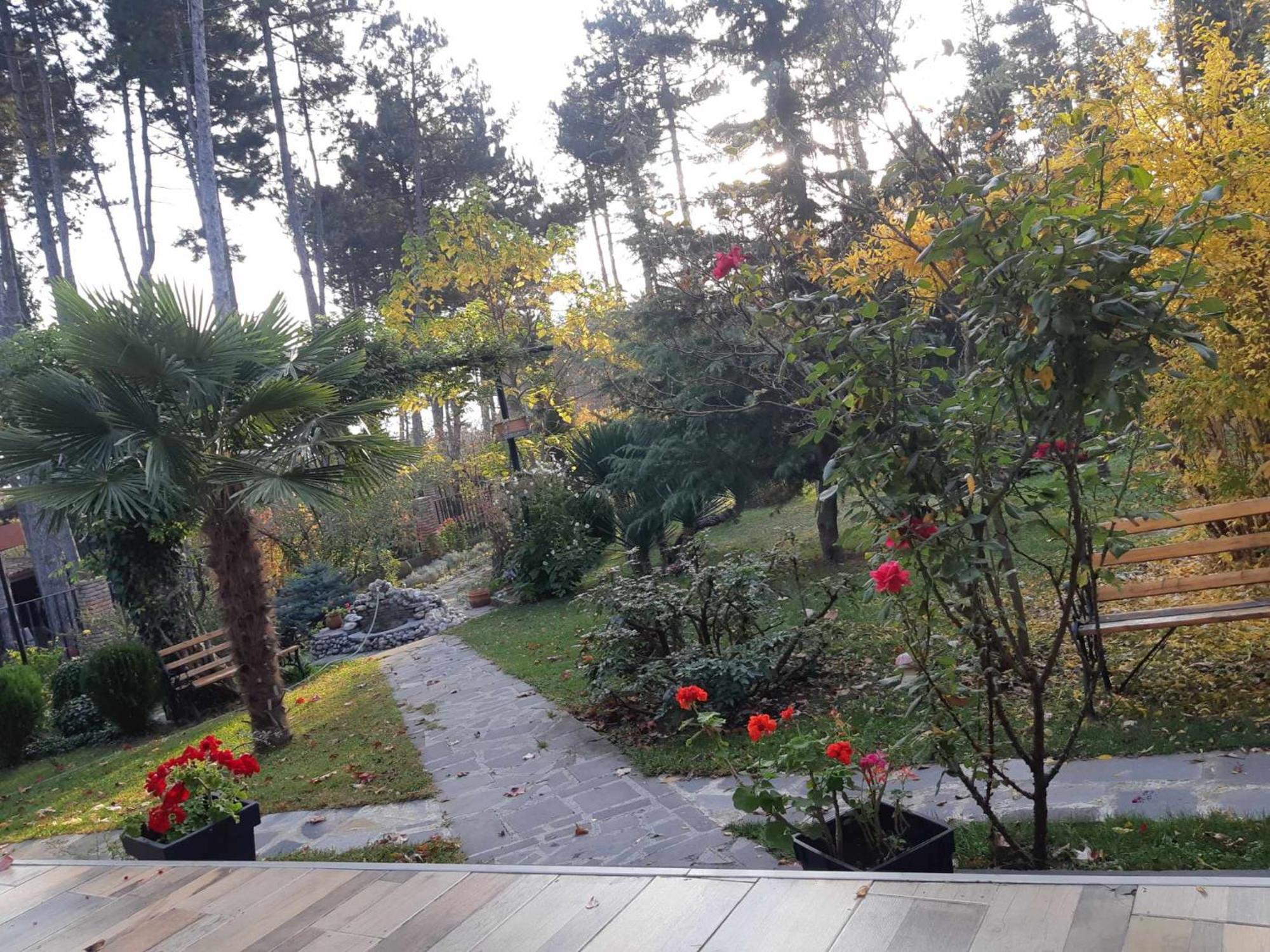 Neli & Zaal Guest House Tel Avi Exterior foto